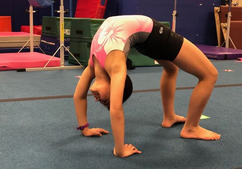 home-beginner-500x350